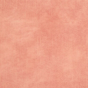 lovely-rose